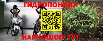 ПСИЛОЦИБИНОВЫЕ ГРИБЫ Кандалакша