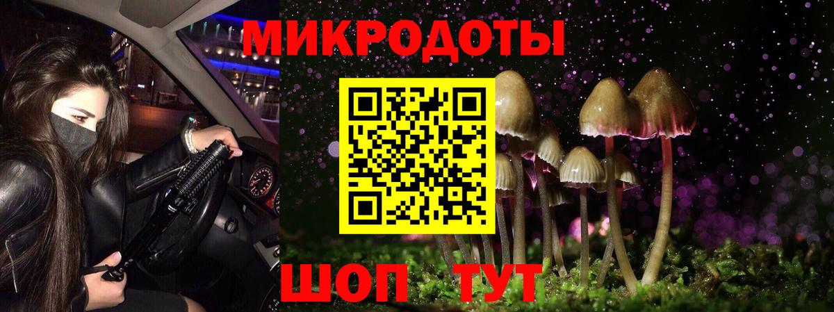 Галлюциногенные грибы мицелий Кызыл