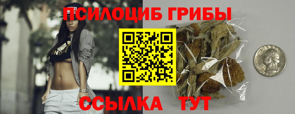 Кызыл  Псилоцибиновые грибы GOLDEN TEACHER  Вход с VPN 